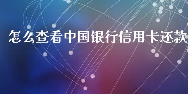怎么查看中国银行信用卡还款_https://wap.qdlswl.com_理财投资_第1张