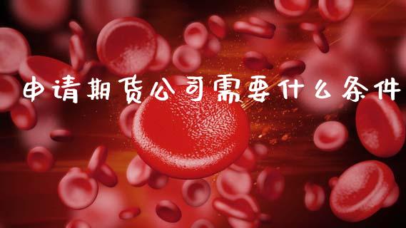 申请期货公司需要什么条件_https://wap.qdlswl.com_理财投资_第1张