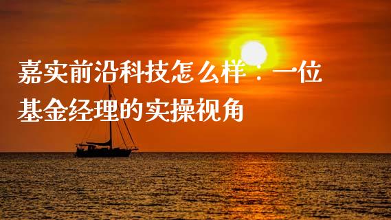 嘉实前沿科技怎么样：一位基金经理的实操视角_https://wap.qdlswl.com_全球经济_第1张