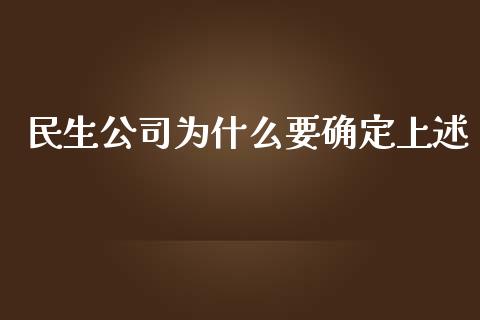 民生公司为什么要确定上述_https://wap.qdlswl.com_理财投资_第1张