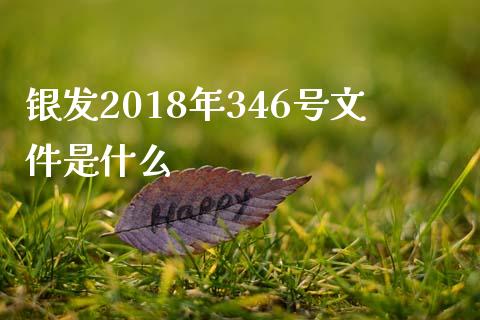 银发2018年346号文件是什么_https://wap.qdlswl.com_财经资讯_第1张