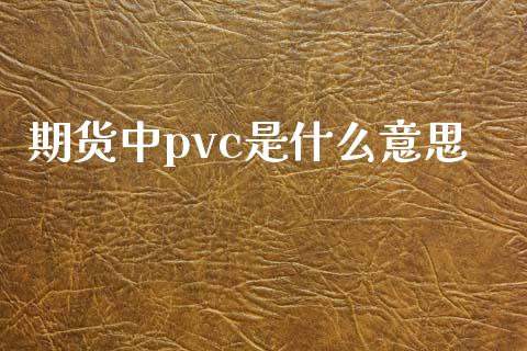 期货中pvc是什么意思_https://wap.qdlswl.com_财经资讯_第1张