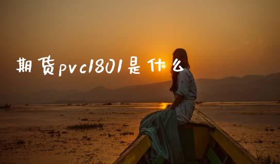 期货pvc1801是什么_https://wap.qdlswl.com_理财投资_第1张