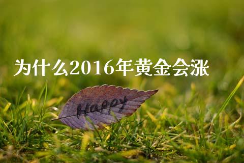 为什么2016年黄金会涨_https://wap.qdlswl.com_财经资讯_第1张