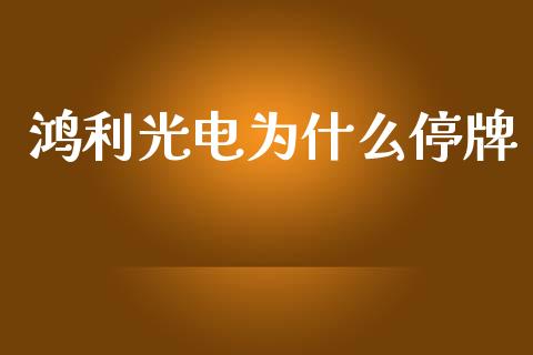 鸿利光电为什么停牌_https://wap.qdlswl.com_证券新闻_第1张