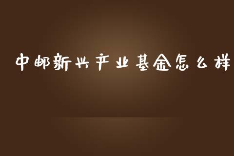 中邮新兴产业基金怎么样_https://wap.qdlswl.com_全球经济_第1张