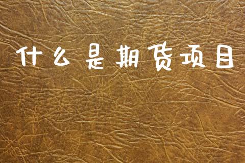 什么是期货项目_https://wap.qdlswl.com_全球经济_第1张