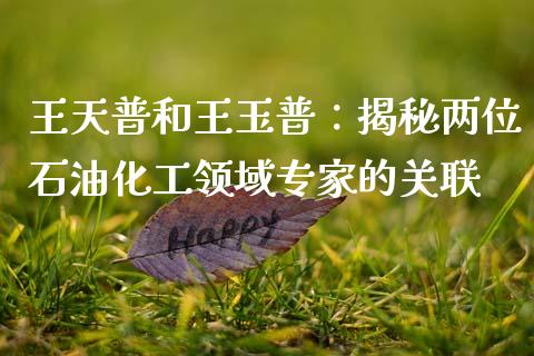 王天普和王玉普：揭秘两位石油化工领域专家的关联_https://wap.qdlswl.com_证券新闻_第1张