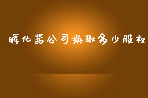 孵化器公司换取多少股权_https://wap.qdlswl.com_理财投资_第1张