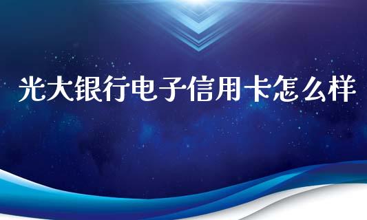 光大银行电子信用卡怎么样_https://wap.qdlswl.com_证券新闻_第1张