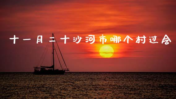十一月二十沙河市哪个村过会_https://wap.qdlswl.com_全球经济_第1张