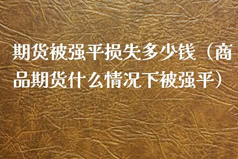 期货被强平损失多少钱（商品期货什么情况下被强平）_https://wap.qdlswl.com_理财投资_第1张