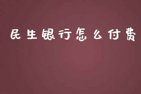 民生银行怎么付费_https://wap.qdlswl.com_证券新闻_第1张