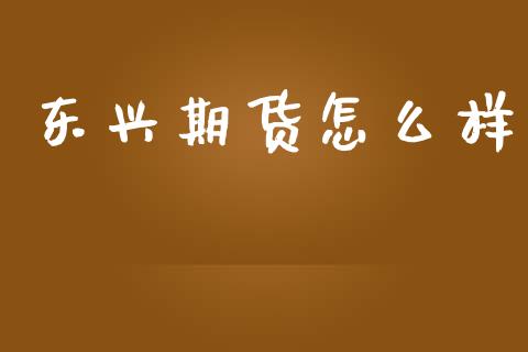 东兴期货怎么样_https://wap.qdlswl.com_理财投资_第1张