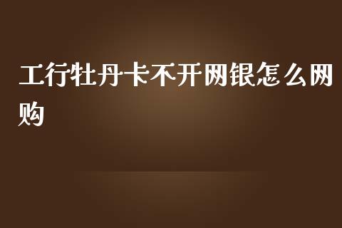 工行牡丹卡不开网银怎么网购_https://wap.qdlswl.com_全球经济_第1张