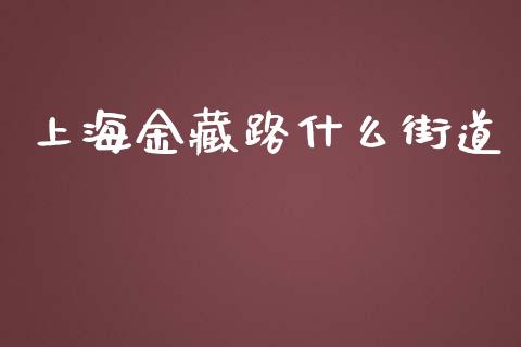 上海金藏路什么街道_https://wap.qdlswl.com_全球经济_第1张