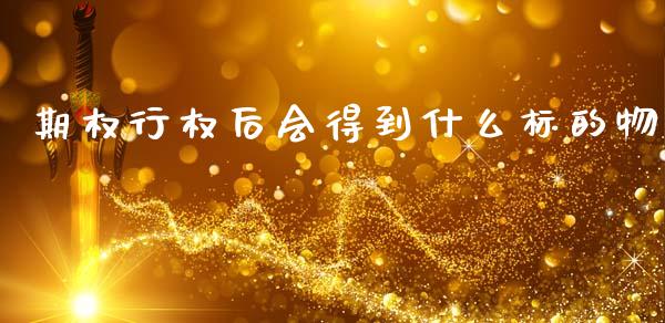 期权行权后会得到什么标的物_https://wap.qdlswl.com_财经资讯_第1张