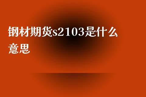 钢材期货s2103是什么意思_https://wap.qdlswl.com_财经资讯_第1张