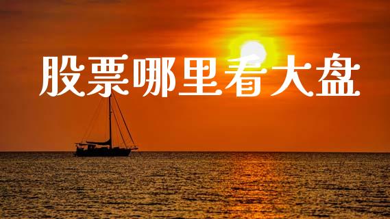 股票哪里看大盘_https://wap.qdlswl.com_财经资讯_第1张
