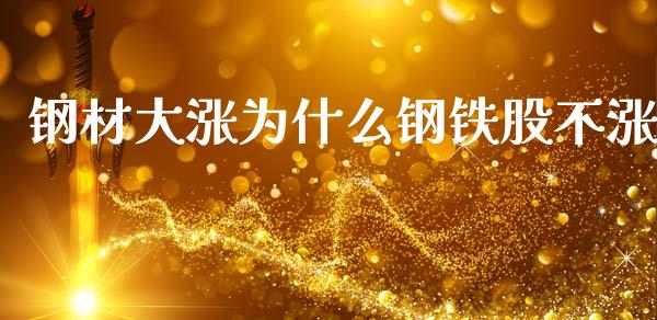 钢材大涨为什么钢铁股不涨_https://wap.qdlswl.com_证券新闻_第1张