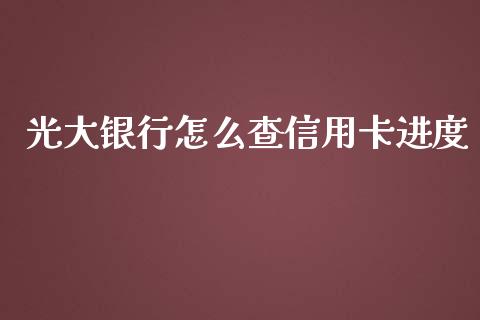 光大银行怎么查信用卡进度_https://wap.qdlswl.com_财经资讯_第1张