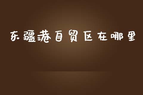 东疆港自贸区在哪里_https://wap.qdlswl.com_财经资讯_第1张