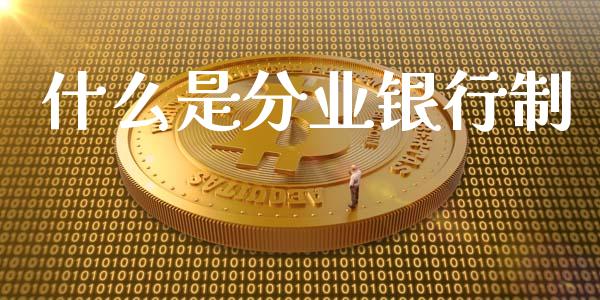 什么是分业银行制_https://wap.qdlswl.com_财经资讯_第1张