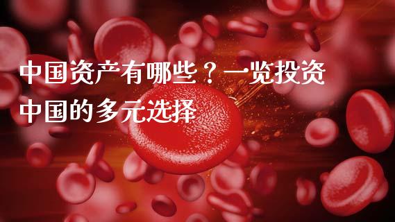 中国资产有哪些？一览投资中国的多元选择_https://wap.qdlswl.com_财经资讯_第1张