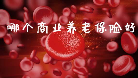 哪个商业养老保险好_https://wap.qdlswl.com_全球经济_第1张