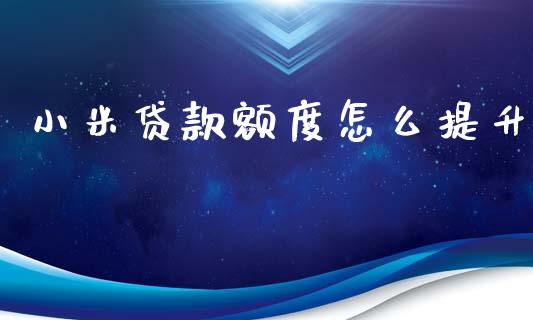 小米贷款额度怎么提升_https://wap.qdlswl.com_全球经济_第1张