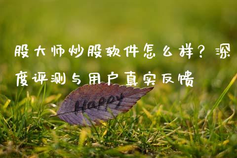 股大师炒股软件怎么样？深度评测与用户真实反馈_https://wap.qdlswl.com_证券新闻_第1张