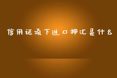 信用证项下进口押汇是什么_https://wap.qdlswl.com_财经资讯_第1张