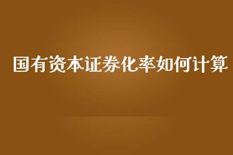 国有资本证券化率如何计算_https://wap.qdlswl.com_全球经济_第1张