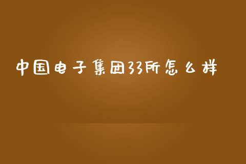 中国电子集团33所怎么样_https://wap.qdlswl.com_理财投资_第1张