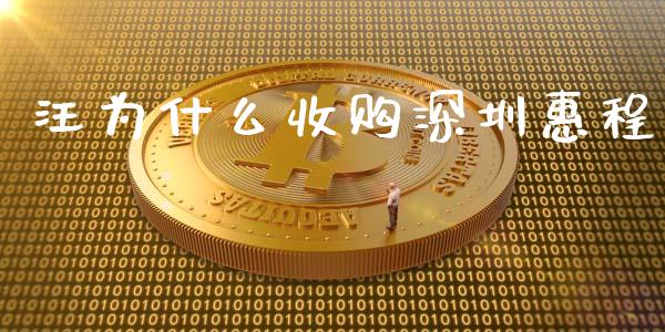 汪为什么收购深圳惠程_https://wap.qdlswl.com_全球经济_第1张