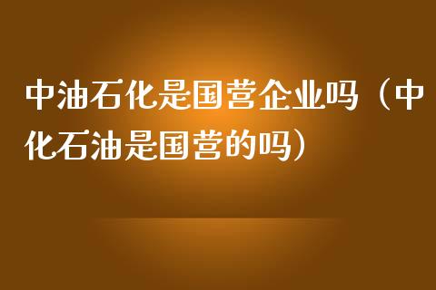 中油石化是国营企业吗（中化石油是国营的吗）_https://wap.qdlswl.com_理财投资_第1张