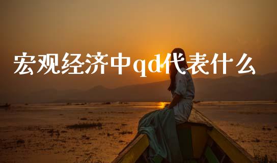 宏观经济中qd代表什么_https://wap.qdlswl.com_财经资讯_第1张