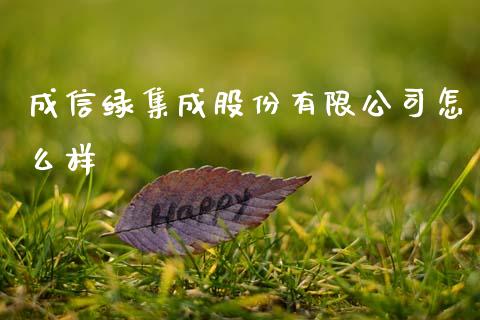 成信绿集成股份有限公司怎么样_https://wap.qdlswl.com_财经资讯_第1张