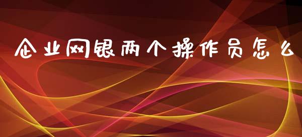 企业网银两个操作员怎么_https://wap.qdlswl.com_证券新闻_第1张