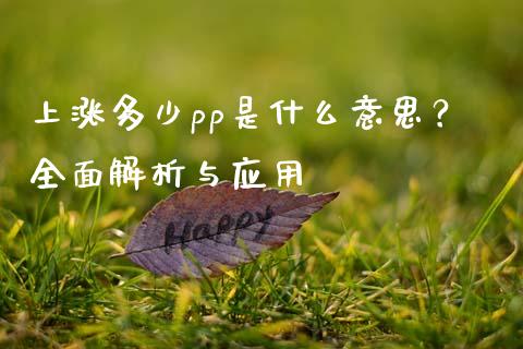 上涨多少pp是什么意思？全面解析与应用_https://wap.qdlswl.com_财经资讯_第1张