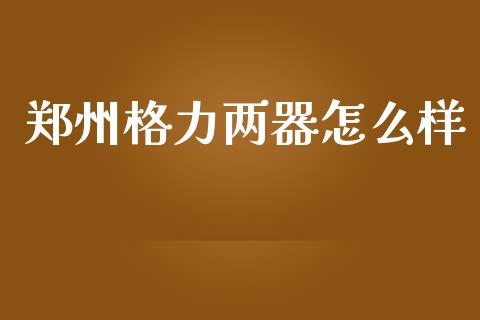 郑州格力两器怎么样_https://wap.qdlswl.com_理财投资_第1张