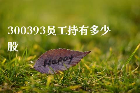 300393员工持有多少股_https://wap.qdlswl.com_财经资讯_第1张