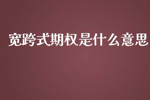 宽跨式期权是什么意思_https://wap.qdlswl.com_理财投资_第1张