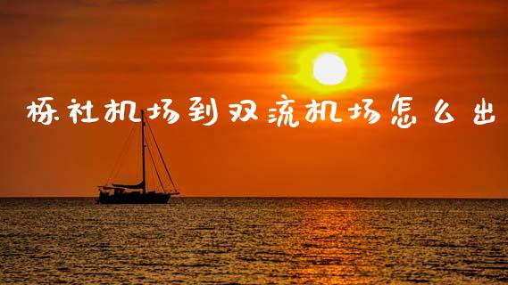 栎社机场到双流机场怎么出_https://wap.qdlswl.com_财经资讯_第1张