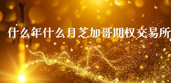 什么年什么月芝加哥期权交易所_https://wap.qdlswl.com_财经资讯_第1张