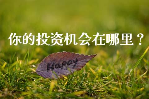 你的投资机会在哪里？_https://wap.qdlswl.com_财经资讯_第1张